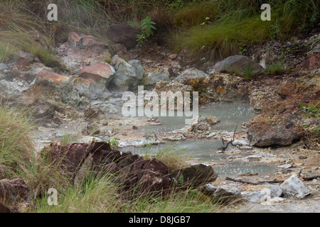 Fumarolen, kochendes Wasser und Dampf, Rincon De La Vieja Nationalpark, costarica Stockfoto