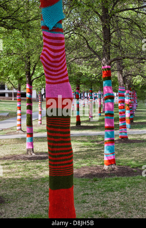 Stricken bombardiert Bäume, Blanton Museum Of Art. Stockfoto