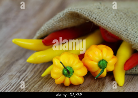 Gemischte Chilischoten in Jute-Tasche Stockfoto