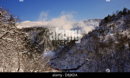 Wolken von Dampf steigt aus den heißen Quellen nach unten im Hochtal am Tamagawa Onsen in einem kalten Wintermorgen Stockfoto