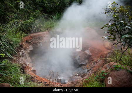 Fumarolen, kochendes Wasser und Dampf, Rincon De La Vieja Nationalpark, costarica Stockfoto