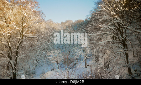 Schnee bedeckte Bäume im morgendlichen Sonnenlicht bei Tamagawa Onsen im Winter Leuchten Stockfoto