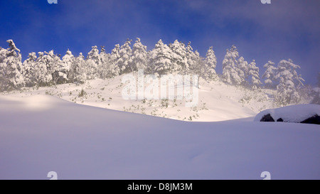 Schneebedeckte Berge am Tamagawa Onsen im Winter Stockfoto