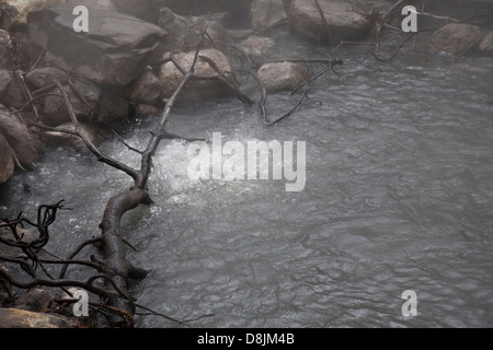 Fumarolen, kochendes Wasser und Dampf, Rincon De La Vieja Nationalpark, costarica Stockfoto