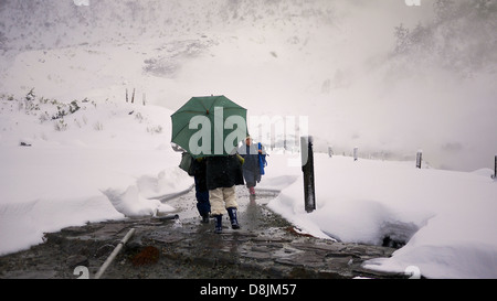 Besucher auf Schnee bedeckt Tamagawa Onsen zu Fuß in Richtung der geschützten Hütten an einem schneit Tag mit Regenschirm Stockfoto