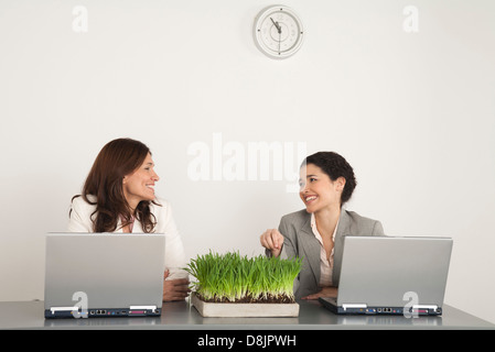 Weiblichen Kollegen chatten im Büro Stockfoto