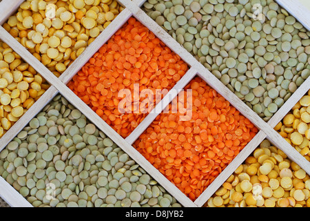 Auswahl der Linsen in hölzernen Fächer Stockfoto