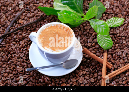 Tasse Cappuccino mit einer Prise Zimt Stockfoto