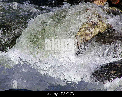 Ein von Felsen gefüllter Bach fließt durch eine natürliche Landschaft, wobei das Wasser sanft über die Felsen fällt. Das klare Wasser unterstreicht die felsige Textur, und das umliegende Grün trägt zur ruhigen Atmosphäre bei. Stockfoto