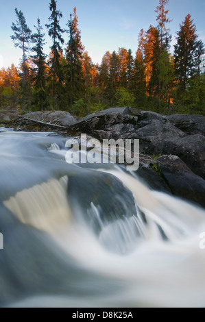 Streaming Wasser in den Fluss Svinna, våler Kommune, Østfold, Norwegen. Der Fluss ist ein Teil des Wassers, das System namens Morsavassdraget. Stockfoto