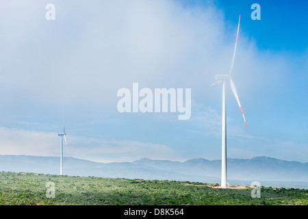 Windkraftanlagen im Windpark Monte Redondo. Region Coquimbo, Chile. Stockfoto