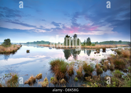 ruhig nebeligen Sonnenuntergang über Sumpf in Drenthe, Niederlande Stockfoto