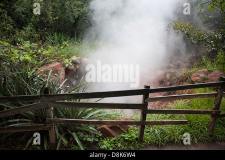 Fumarolen, kochendes Wasser und Dampf, Rincon De La Vieja Nationalpark, costarica Stockfoto