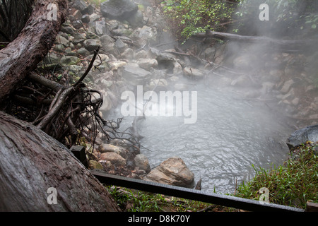 Fumarolen, kochendes Wasser und Dampf, Rincon De La Vieja Nationalpark, costarica Stockfoto