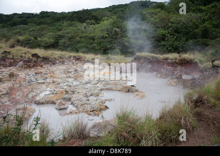 Fumarolen, kochendes Wasser und Dampf, Rincon De La Vieja Nationalpark, costarica Stockfoto