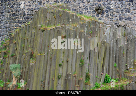 Basaltsäulen Stockfoto