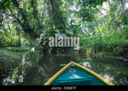 Kanutour auf dem Rio Estrella, Cahuita Nationalpark, Costa Rica Stockfoto