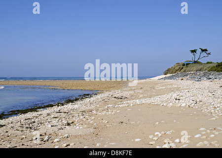 Landschaft Stockfoto