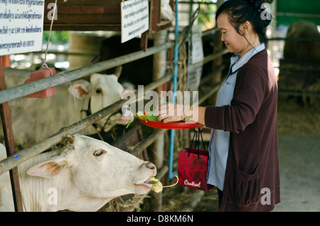 Wat Hua Lamphong, Bangkok Stockfoto