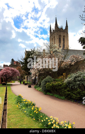 Frühling-Blick über St Edmundsbury Cathedral, Bury St Edmunds Stadt, Suffolk County, England Stockfoto