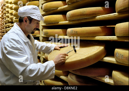 Comté Verfeinerung Keller in Fort Saint Antoine, Jura, Frankreich. Stockfoto