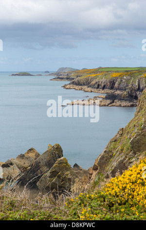 Wales Küste Pembrokeshire von Caerfai Bay in St Nons in Richtung Ramsey Insel wunderschöne walisische Landschaft von St Brides Bay Stockfoto