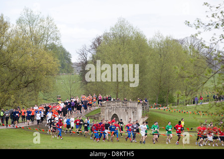 Teilnehmer beim Tough Mudder 2013 (ein Ausdauer-Ereignis) in Kettering/North East London Stockfoto