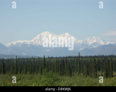 Ein bewaldetes Gebiet mit hohen Bäumen, mit einem Berg in der Ferne. Die Szene fängt den Kontrast zwischen dem dichten Wald und der majestätischen Bergkette ein und bietet einen malerischen Blick auf die natürliche Landschaft. Stockfoto