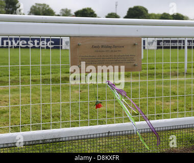 Epsom Downs, England, Vereinigtes Königreich. 31. Mai 2013. Eine Gedenktafel für die Opfer von Emily Wilding Davison, sich vor Epsom Cottage, das Pferd der Könige vor 100 Jahren warf, weithin als das größte Opfer der Suffragetten-Bewegung auf Investec Ladies Day von Epsom Racecourse akzeptiert. Bildnachweis: Action Plus Sport Bilder/Alamy Live News Stockfoto