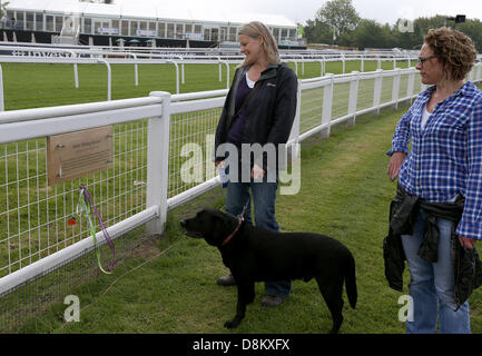 Epsom Downs, England, Vereinigtes Königreich. 31. Mai 2013. Zwei Damen innehalten und schauen Sie sich eine Gedenktafel für die Opfer von Emily Wilding Davison, sich vor Epsom Hütte, dem Könige Pferd vor 100 Jahren weithin anerkannt als das größte Opfer der Suffragetten-Bewegung auf Investec Ladies Day von Epsom Racecourse warf. Bildnachweis: Action Plus Sport Bilder/Alamy Live News Stockfoto