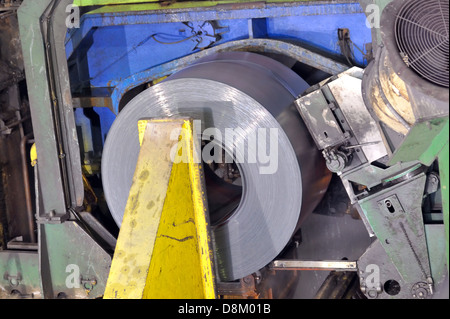 warme Brötchen von Weißblech schießen in der Anlage Stockfoto