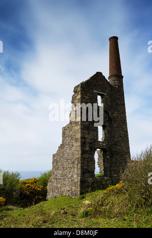 Die Überreste der kornischen Maschinenhaus. Stockfoto