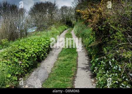 Eine Spur von Penberth Cove in Cornwall bergauf laufen. Stockfoto