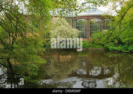 Niederlande, Amsterdam, Hortus Botanicus, Botanischer Garten, Stockfoto