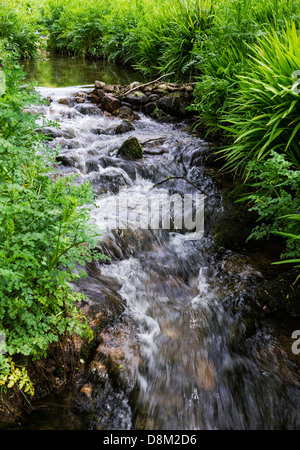 Einem schnell fließenden Bach Kinderbett Tal in Cornwall. Stockfoto