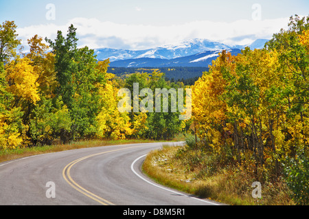 Abrupt biegt die Straße zwischen Bäumen Stockfoto