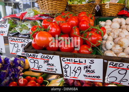 Rote Tomaten auf einem grünen Lebensmittelgeschäft abgewürgt. Stockfoto