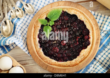 Frisch gebackenen hausgemachten Heidelbeerkuchen Stockfoto