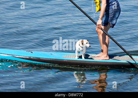 Paddel Surfen Stockfoto