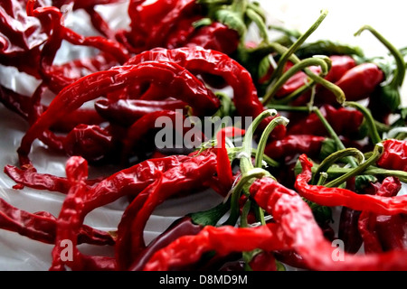 Eine Auswahl an Obst und Gemüse, einschließlich heller Paprika, ordentlich angeordnet. Die lebendigen Farben der Paprika stehen im Kontrast zu anderen Früchten und Gemüse und zeigen eine gesunde, nahrhafte Aufstrich. Stockfoto