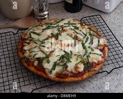 Eine frisch gebackene Peperoni-Pizza mit einer goldenen, knusprigen Kruste, garniert mit Peperoni-Scheiben, geschmolzenem Käse und einer würzigen Tomatensauce. Die Pizza wird in gleichmäßige Scheiben geschnitten und auf einem Holztablett abgelegt. Stockfoto