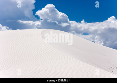 Erstaunliche Dünen der Wüste von New Mexico Stockfoto