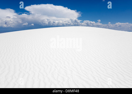 Erstaunliche Dünen der Wüste von New Mexico Stockfoto