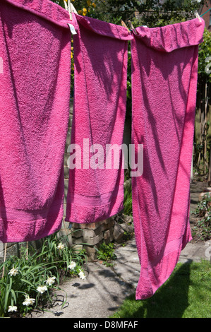 Handtücher trocknen auf der Wäscheleine, Beschriftungsfeldern Handtücher, sonnig, dennoch kein Kinderspiel, Wäscheklammern, Wäscheleine, helle Farbe, Garten Stockfoto