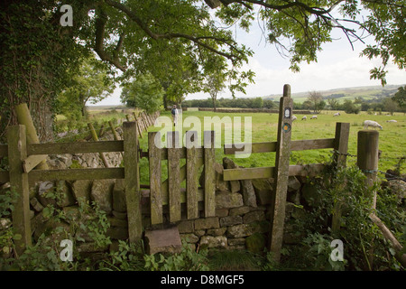 Zaun auf Hadrian's Wall Stockfoto