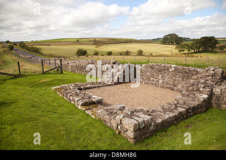 Turm 49 Stockfoto