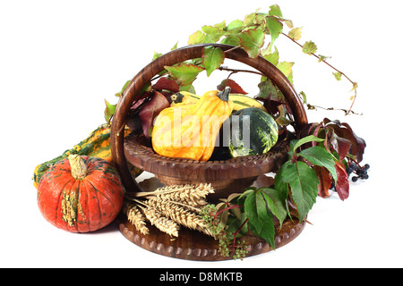 Dekorative Kürbis Stockfoto