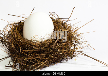 Manche Dinge passen einfach nicht. Huhn Ei in einem natürlichen kleinen Vogel-Nest. Stockfoto