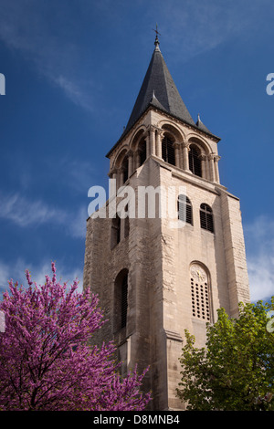 Blühende Bäume am Fuße des Glockenturms Eglise Saint Germain (erbaut 990-1043 n. Chr.), Saint-Germain-des-Pres, Paris, Frankreich Stockfoto