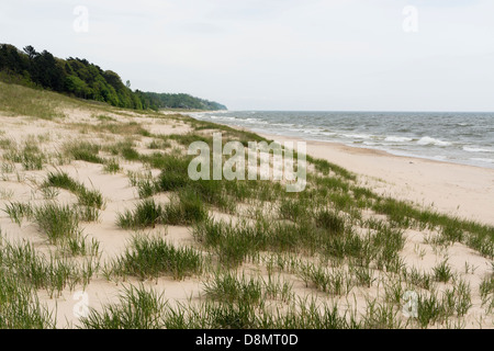 Lake Michigan Sanddünen an einem windigen Tag mit Wellen an den Strand in der Nähe von Whitehall, MI, USA. Stockfoto